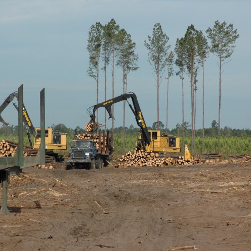 Vehicles Loading Logs for Transport